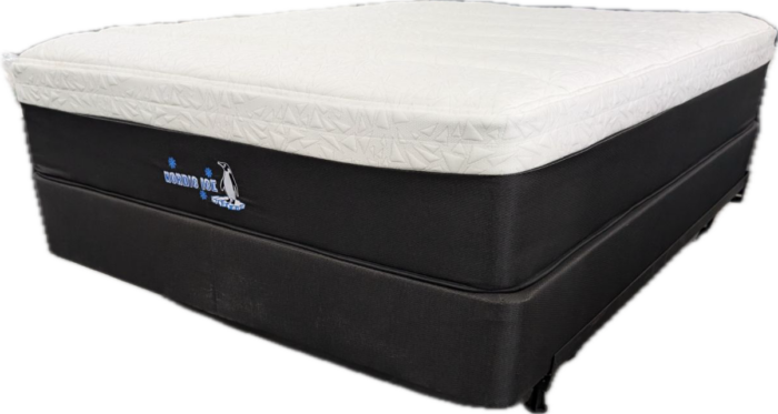 Frost Foam 14 Plush